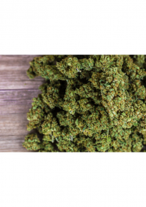 Mehr über den Artikel erfahren Anleitung zum Cannabisanbau (indoor)